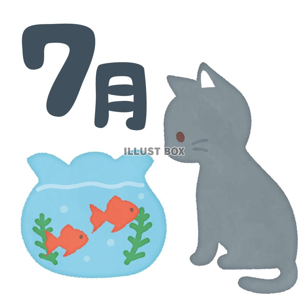 無料イラスト 7月 猫と金魚