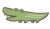 ワニ