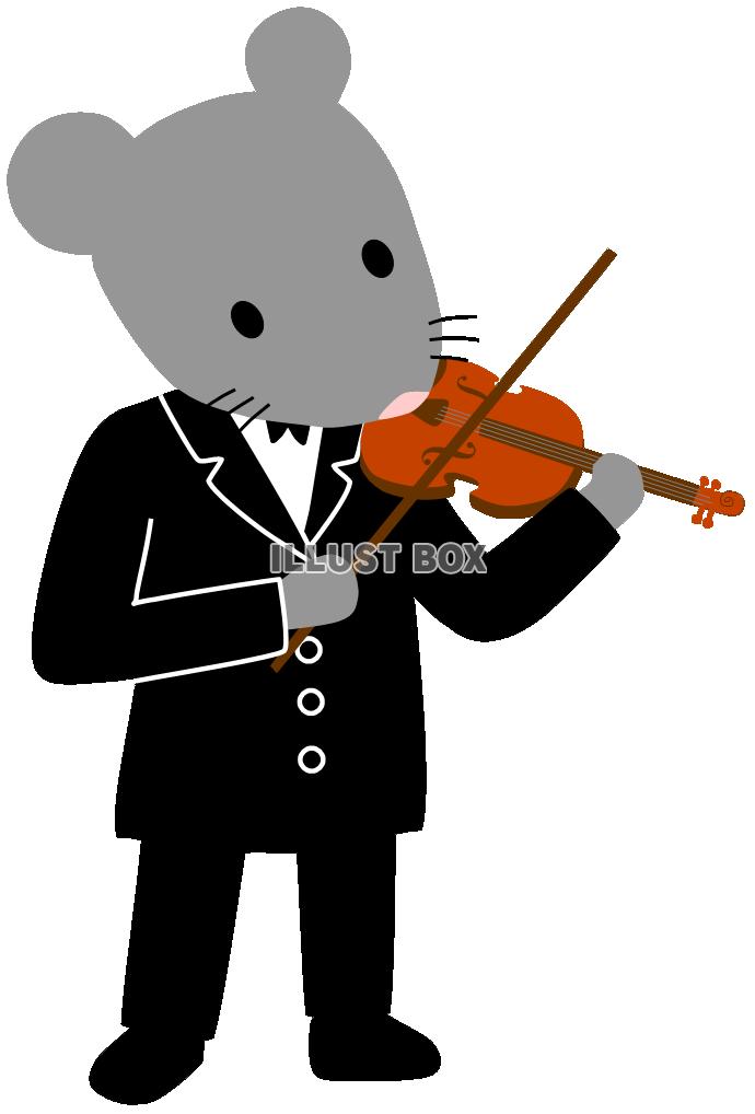 バイオリンを弾くねずみ（楽器を演奏する動物・ネズミ）