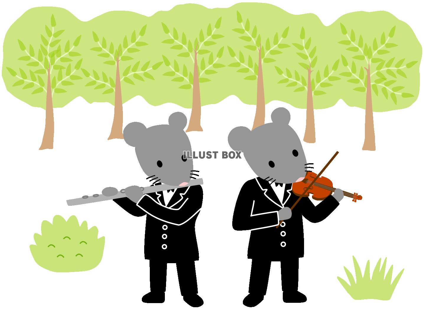 森でフルートとバイオリンを演奏するねずみ（動物・ネズミ）