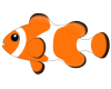 海水熱帯魚　クマノミ（カクレクマノミ）　透過PNG