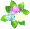 水彩タッチのあじさいイラスト２【あじさい,アジサイ,紫陽花,６月,梅雨,花,植物