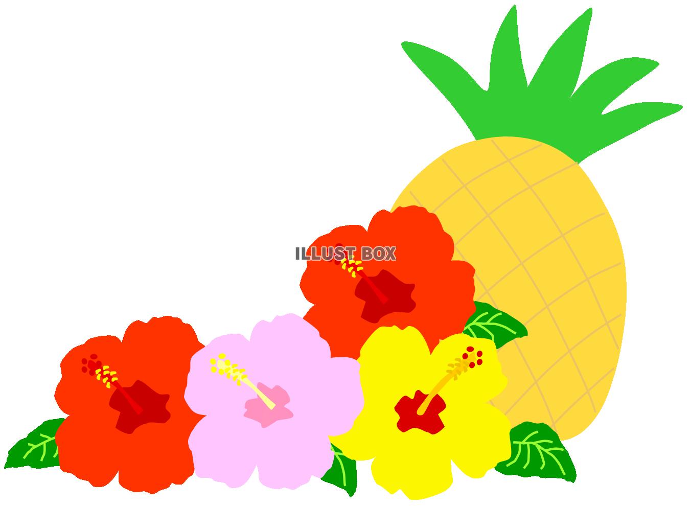 無料イラスト パイナップルとハイビスカス 夏のお花とフルーツ