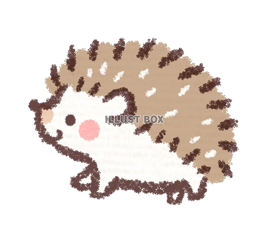 印刷可能 ハリネズミ 可愛い イラスト かわいいフリー素材集 いらすとや