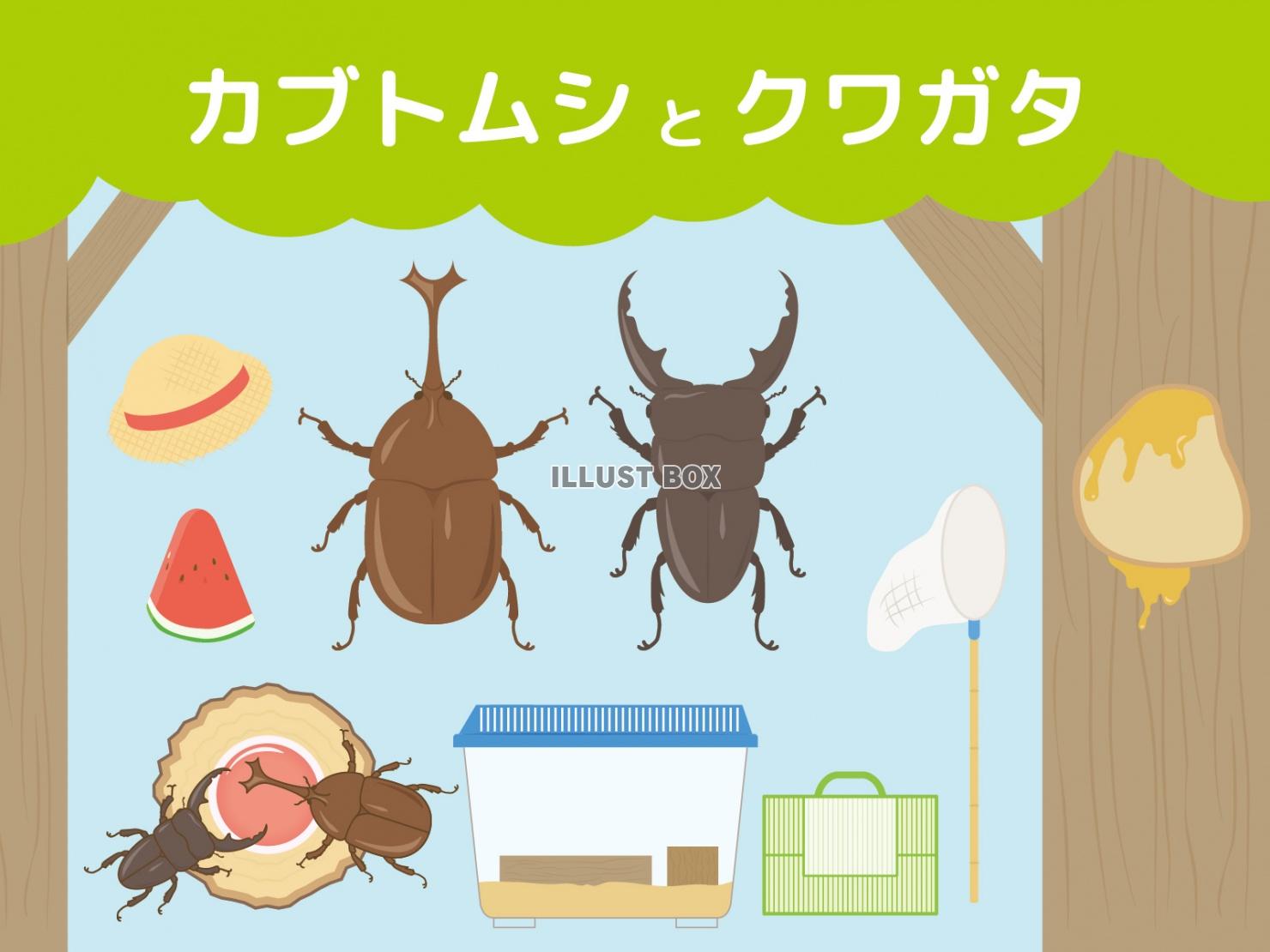 無料イラスト 虫取りセット カブトムシ クワガタ 麦わら帽子 スイカ 虫か