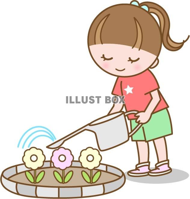 無料イラスト 花の水やりをする女の子