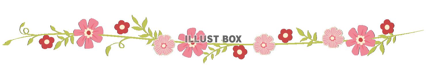 無料イラスト 透過・華やかなお花のライン ピンク線ボタニカル葉飾り罫ボーダ