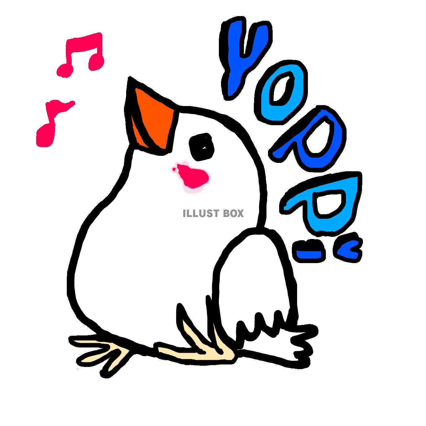 無料イラスト 白文鳥のよっぴ