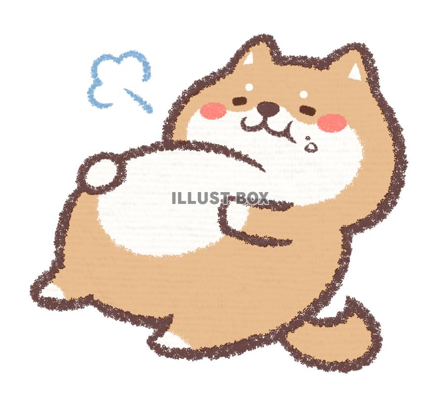 柴犬 イラスト ゆるい