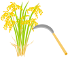 稲刈り１（鎌、秋、米、稲穂、豊作）