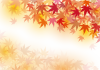 紅葉背景もみじおしゃれフレーム枠秋和イラスト枠楓和風飾り枠葉壁紙冬11月和柄バッ