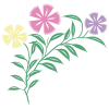 花のコーナーフレーム1（カラー）