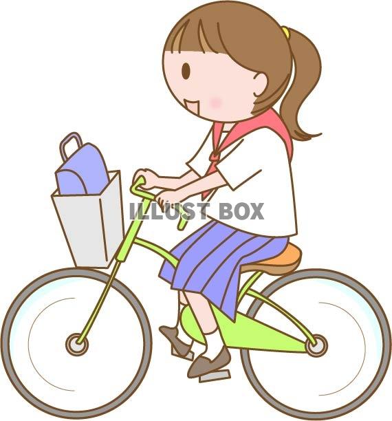 自転車通学をする女子学生