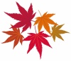 紅葉もみじ飾りアイコン葉シルエットシンプル装飾秋10月モミジ和風葉っぱ11月楓冬