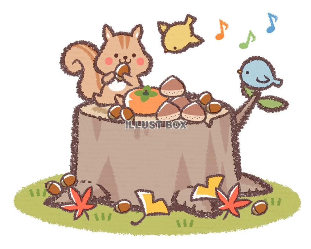 リスと鳥の秋の食事会