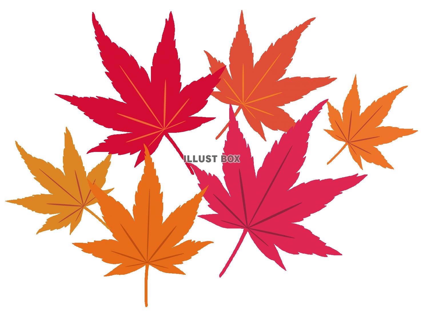 紅葉もみじ飾りアイコン葉シルエットシンプル装飾秋10月モミジ...