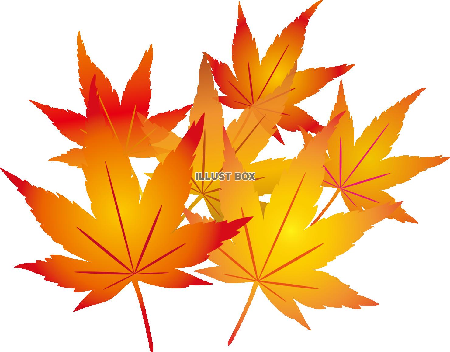 紅葉もみじ飾りアイコン葉水彩シルエットシンプル装飾秋10月モ...