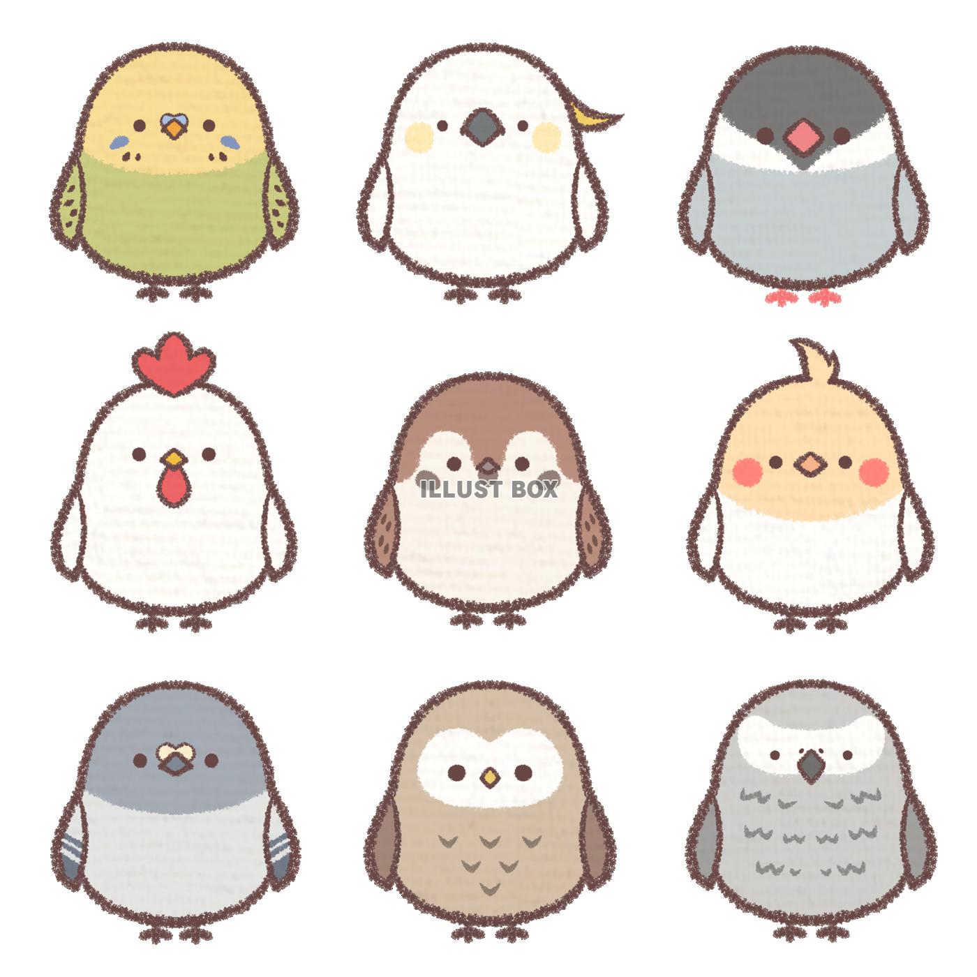 あなたのためのイラスト ラブリーゆるい インコ イラスト かわいい