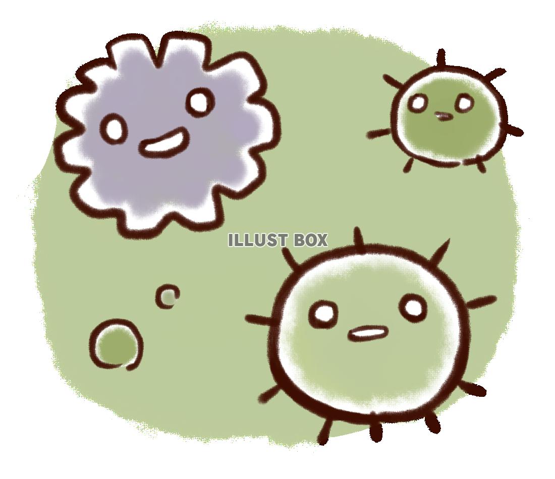 カビ菌