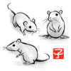 子