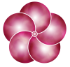 梅の花 png 透過