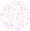 梅の花　透過　PNG