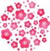 梅の花　透過　PNG