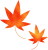 紅葉　カットイラスト　透過　PNG