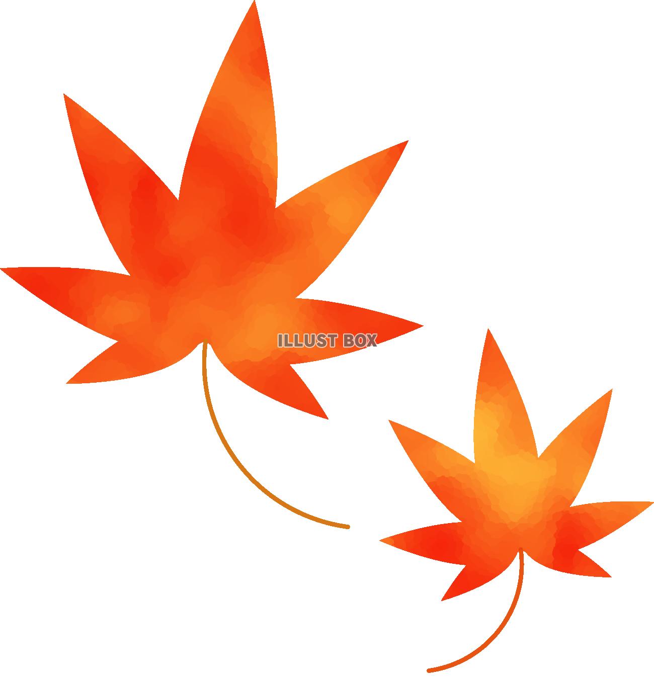 紅葉　カットイラスト　透過　PNG