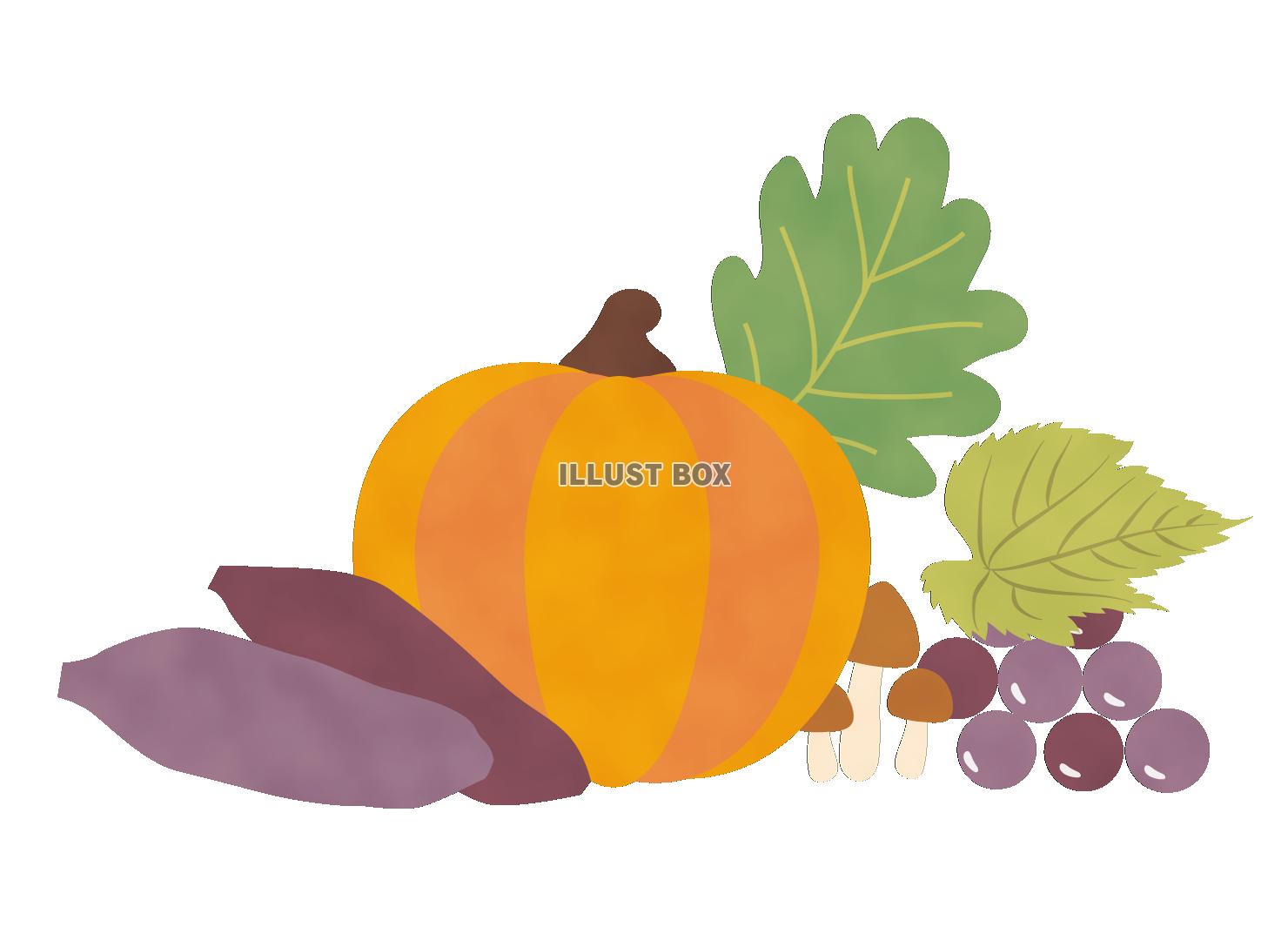 無料イラスト 透過 秋のイラスト カット手書き手描き水彩食欲の秋ブドウカラ