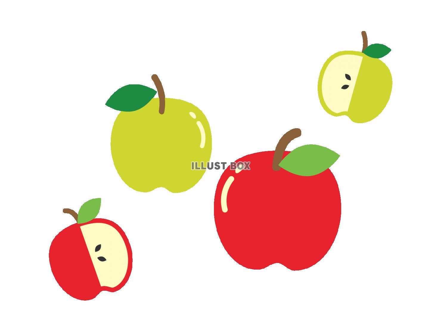 無料イラスト りんごのイラスト