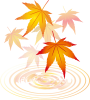 紅葉もみじ飾り装飾冬水面10月11月モミジ葉っぱ植物楓カエデ波紋和風和柄綺麗背景