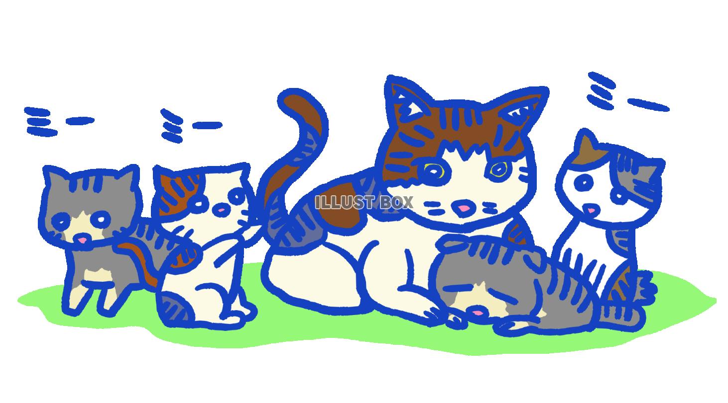 無料イラスト 子猫