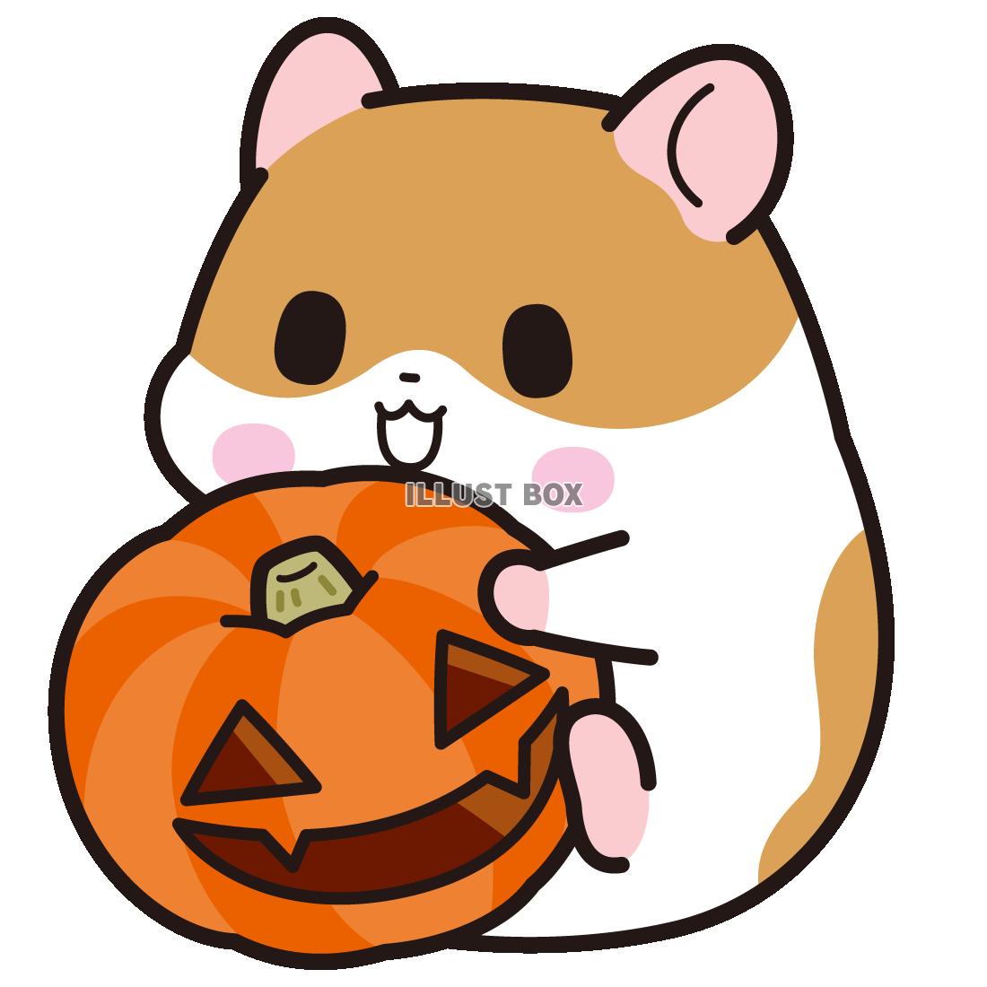 無料イラスト ハロウィンかぼちゃとハムスター ゴールデンハムスター