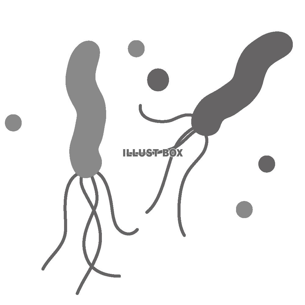 ヘリコバクターピロリ菌のアイコン5　※モノクロ