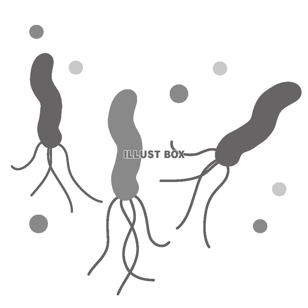 ヘリコバクターピロリ菌のアイコン6　※モノクロ