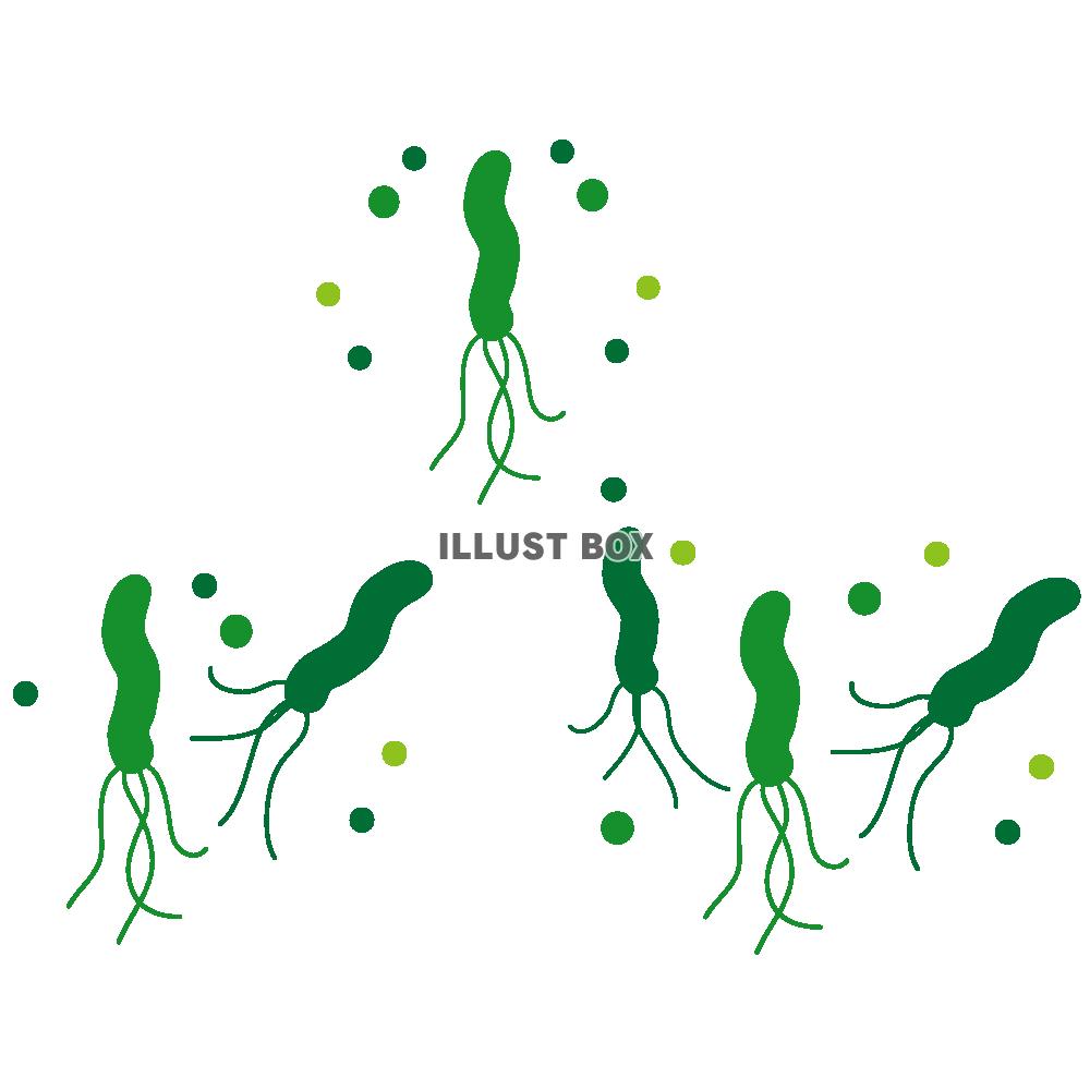 ヘリコバクターピロリ菌のアイコンセット1