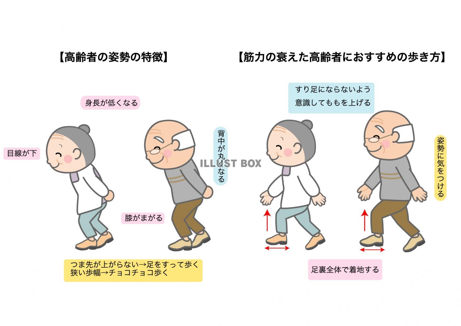 高齢者の歩き方 つまずき防止