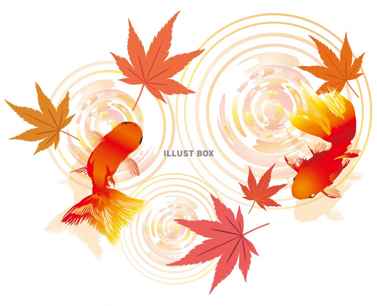 11 月 紅葉 イラスト かわいい かっこいい無料イラスト素材集