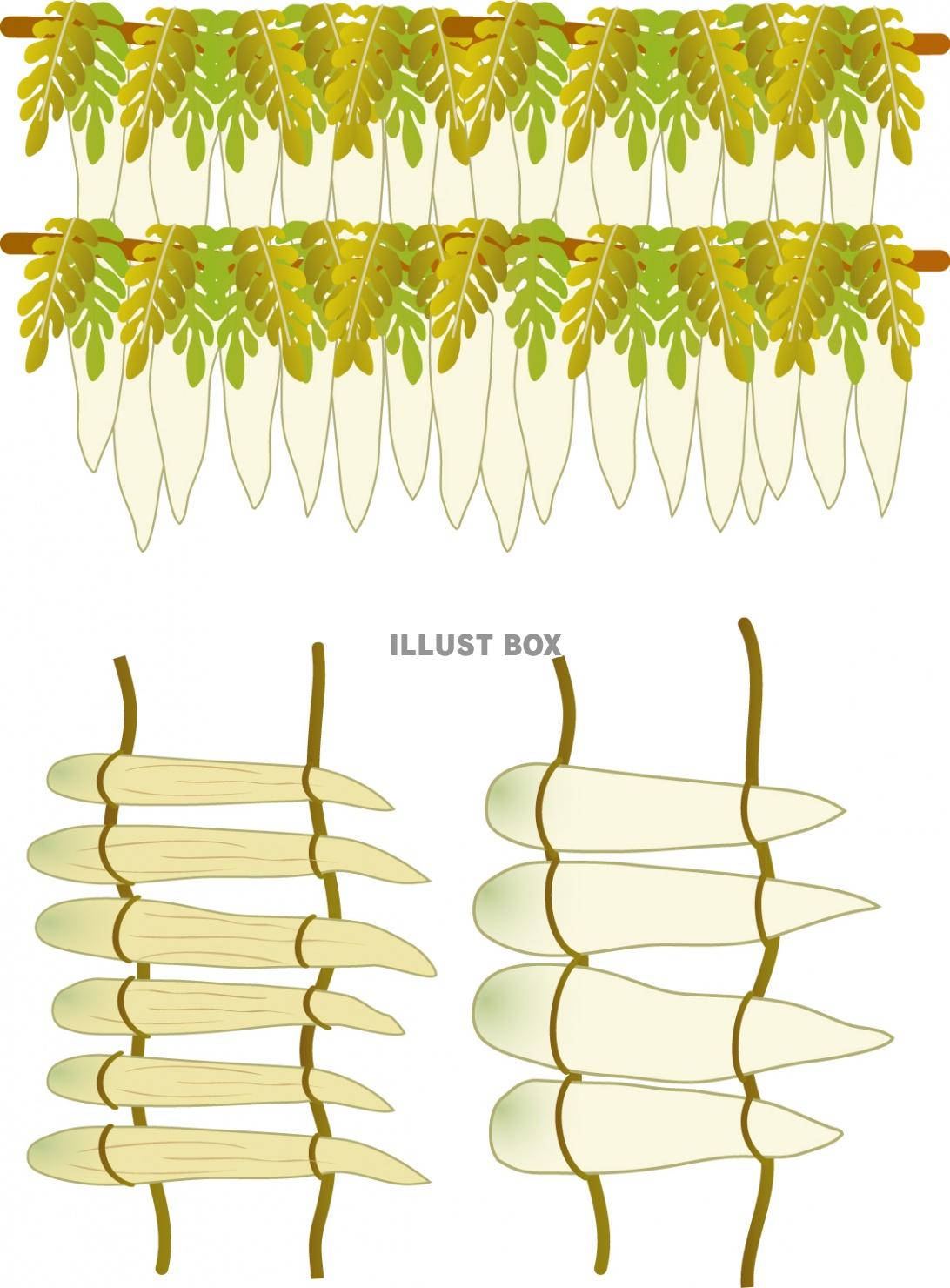 無料イラスト 干し大根 冬の風物
