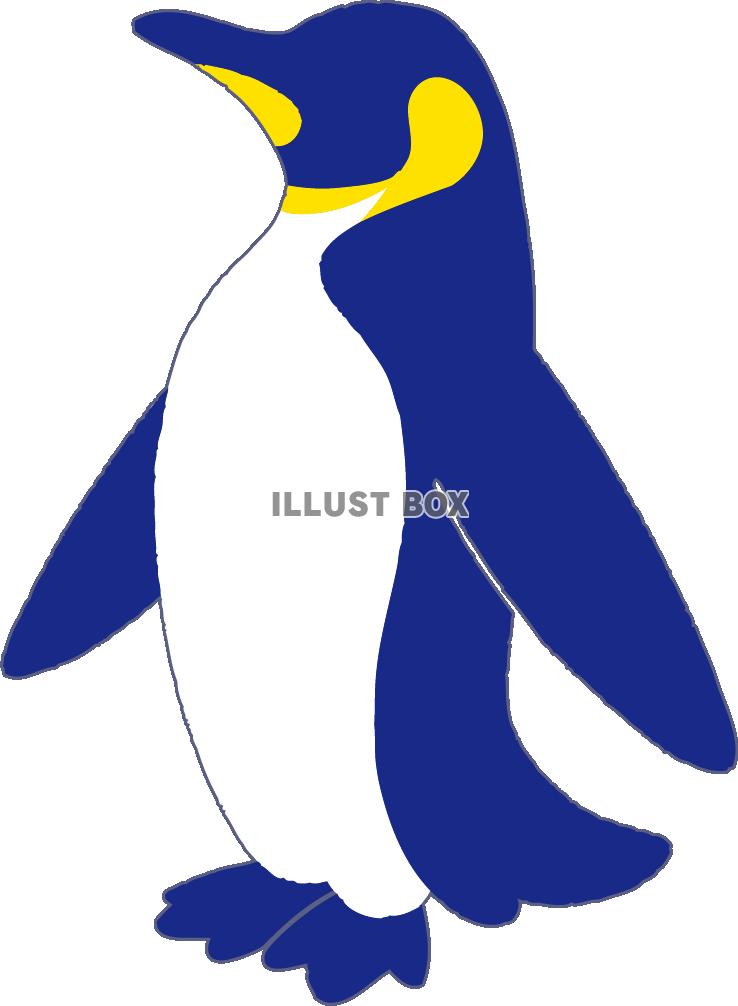 ペンギンのイラスト（親鳥）