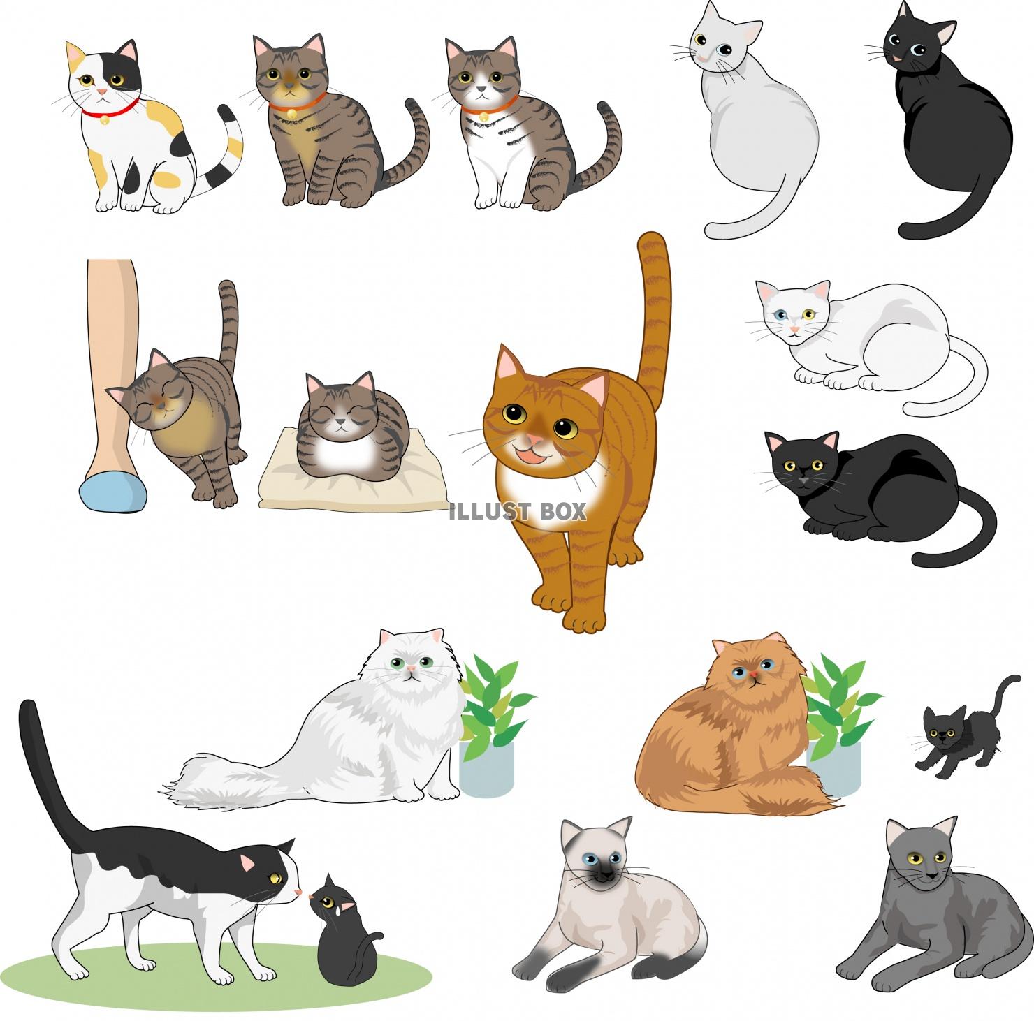 イラスト素材 猫 イラスト無料