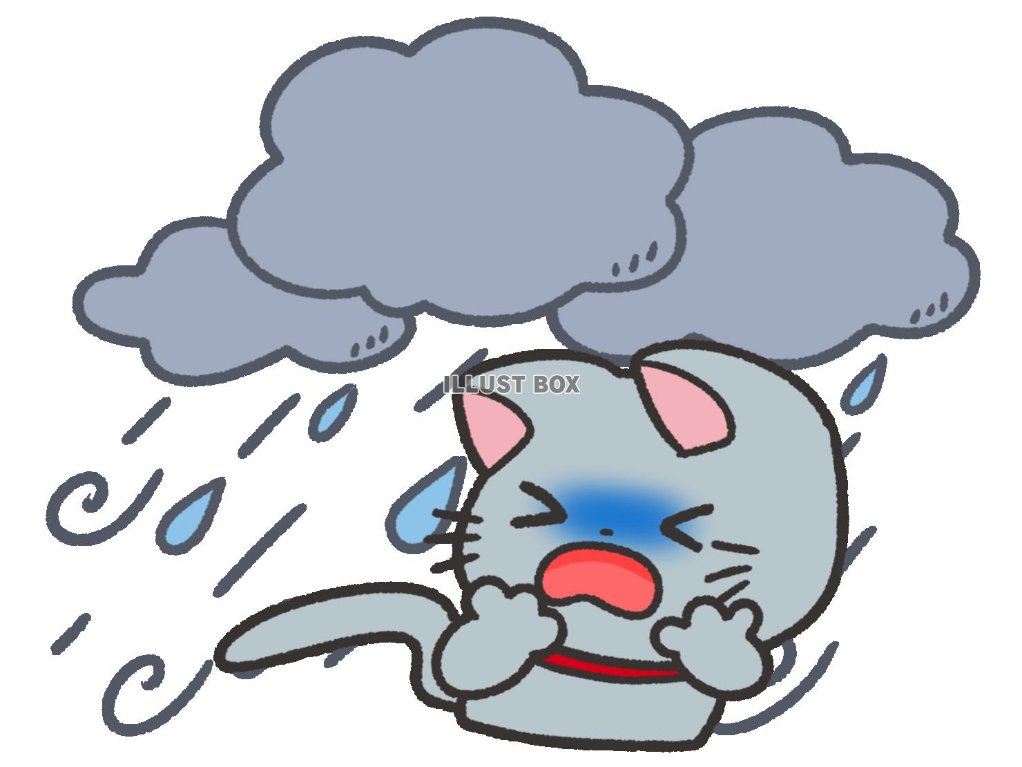 無料イラスト 台風と猫