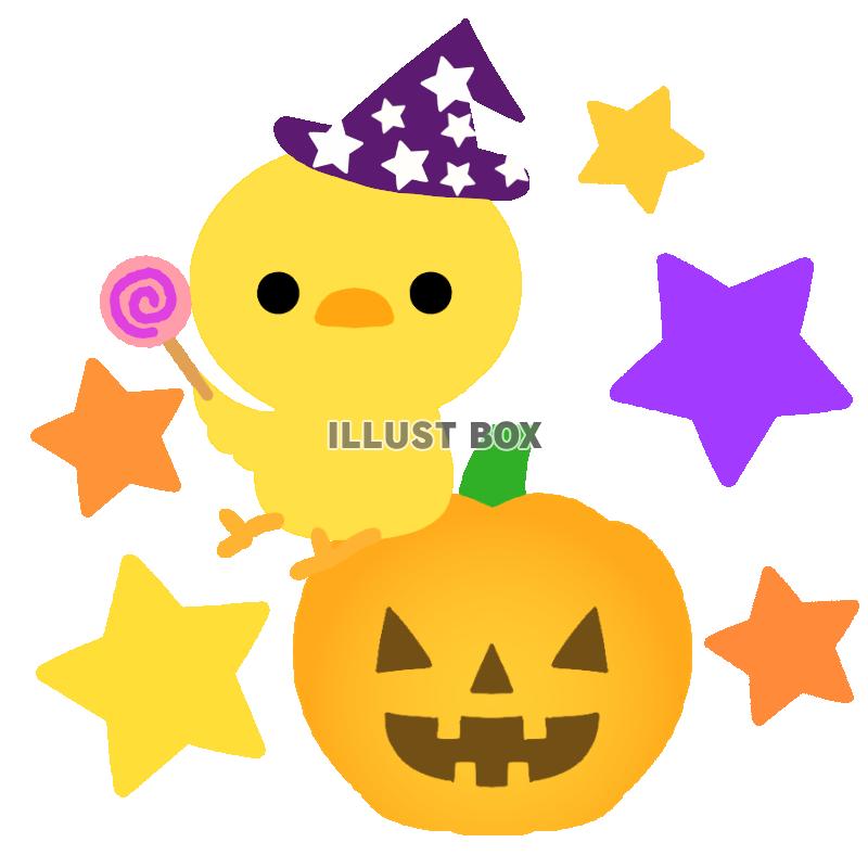 無料イラスト ひよことハロウィンパンプキン 透過png