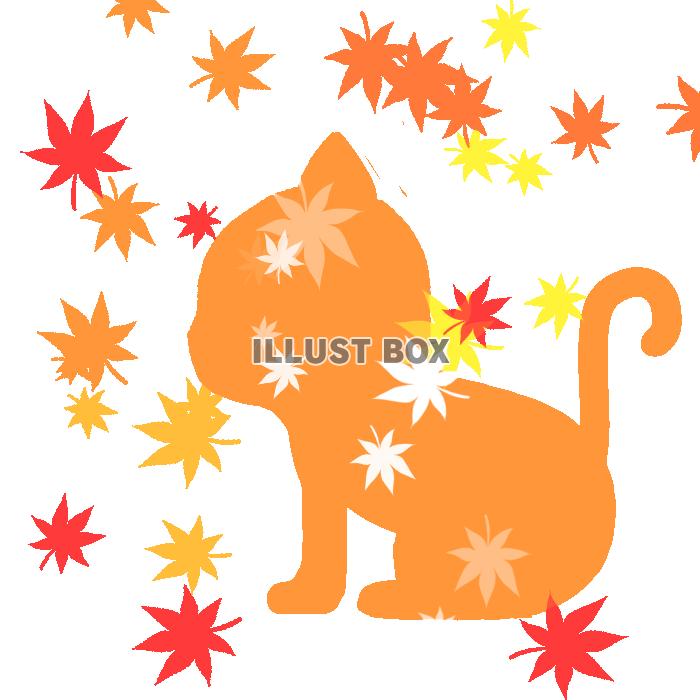 猫のシルエットと舞う紅葉　透過png