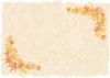 紅葉もみじ銀杏葉の和風飾り枠　手書き水彩風和紙【9月10月11月頃の素材】