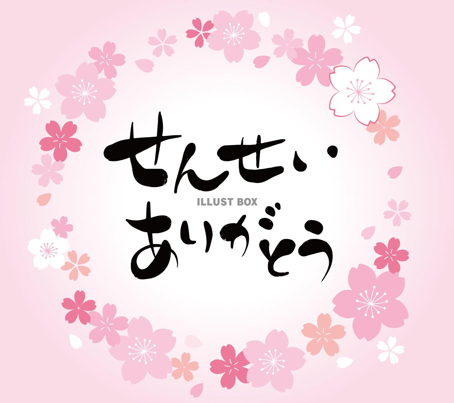 無料イラスト せんせいありがとう のタイトル文字 フレーム 桜卒業