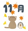 11月　落ち葉と猫とハリネズミ