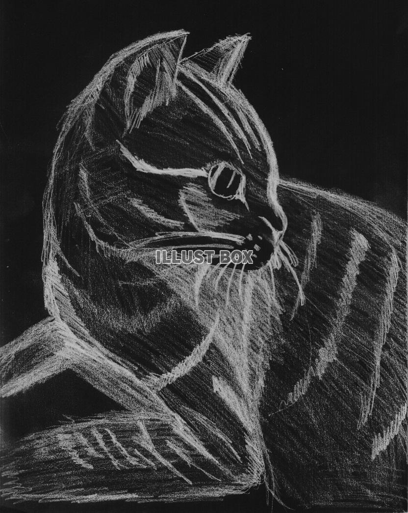 黒板に描いた猫