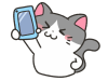 スマホを掲げる猫